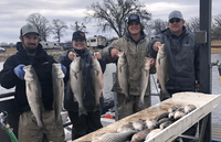 Circle B Fishing Guide Lake Texoma Fishing Guides | 5 Hour Charter Trip  fishing Lake 