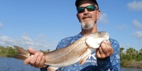 Never Stop Fishing Fishing Charter Florida | 5-Hour Backcountry Fishing Trip fishing BackCountry 