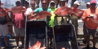 Riptide Fishing Charters Orange Beach, Alabama Deep Sea Fishing Guide fishing Offshore 