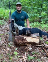Moose Horn Guide Service Fall Bear Hunt hunting Big game hunting 