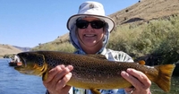 Fishtales Outfitting Private Water Fishing Trip in Montana (End) | 8 Hour Private Trip In Beaverhead River fishing River 