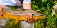 Fishtales Outfitting Fly Fishing Guided Trips Montana | 8 Hour Charter Trip In Clark Fork River  fishing River 