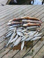 Speck Dat Charters Full Day(6am - 2pm) Inshore Fishing Charter fishing Inshore 