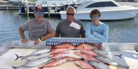 Got 2 Go Fishing Charters Offshore Fishing Charters in Florida fishing Offshore 