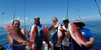 Defiant Offshore Fishing Charters Charter Fishing Florida |  12 Hour Offshore Fishing Trip fishing Offshore 