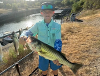 FatBoy Fishing Guide Service Lake Whitney Fishing Guides | Private - 4 Hour Trip fishing Lake 