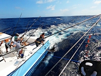 Redemption Sportfishing Charters Atlantic Beach, NC Exclusive Marlin Trip fishing Offshore 