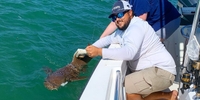 Outta Line Charters II Key West Fishing Charter |  2 Hour Quick Fishing Trip fishing Inshore 