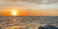 Outta Line Charters II Key West Fishing Charters | 2 Hour Sunset Fishing Trip fishing Inshore 