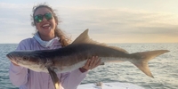 Outta Line Charters II Fishing Charters in Key West | 4 to 8 Hour Fishing Trips fishing Inshore 