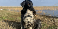 Captain Shannon’s Charters Matagorda Duck Hunting | 8 Hour Hunting Trip hunting Active hunting 