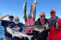 Unchained Sportfishing Striper/Bluefish fishing in Orleans MA | 4 HR Private Trip fishing Offshore 