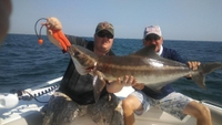 Optimus Fishing Charters Fishing Charters Tampa Bay | 4 To 6 Hour Charter Trip  fishing Inshore 