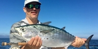 Miami Fishing Company Key Biscayne Fishing Pier fishing Inshore 