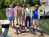 Pullin' Drag Striper Fishing Charter Fish in Smith Mountain Lake fishing Lake 