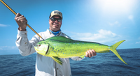 Reef Runner Sportfishing Charters Islamorada Fishing Charters | 4 Hour Charter Trip  fishing Offshore 