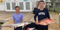 Captain Lynn's Dauphin Island Charter Fishing | 4 to 6 Hour Mixed Bag Charter Trip  fishing Offshore 