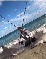 Noname Shark Charters  Jensen Beach Fishing Charters - River Shark Fishing fishing River 