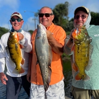 Bass And Exotics Charters 4 Hour Lake Ida Fishing Trip fishing Lake 