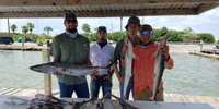 SharkTooth Charters  Fishing Charters in Galveston TX | Seasonal 8 Hour Inshore to Offshore Charter Trip fishing Inshore 