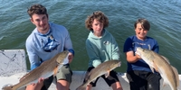 Bear Hull Fishing Charters Fishing Charters in Bradenton fishing Inshore 