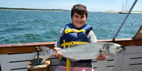 Cape Classic Fishing Charters Fishing Charters Falmouth | 2 To 8 Hour Charter Trip  fishing Inshore 