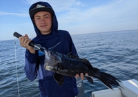 Barnegat Bay Adventures Offshore Wreck Fishing in New Jersey fishing Offshore 