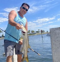 A Cast Above Fishing Charters Llc.  Charter Fishing Bradenton Beach FL | 6 hour Trip fishing Inshore 