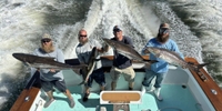 Roankoe Sportfishing Wanchese Fishing Charters | Private 4 Hour Trip Offshore fishing Offshore 