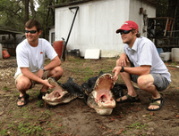 Hustons Outdoor Adventures Florida Alligator Hunts | 2 Nights Alligator Hunting  hunting Active hunting 