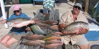 Shark River Charters  Ultimate Fishing Charter: Marathon, Florida Trip for Grouper, Snapper, and More! fishing Offshore 