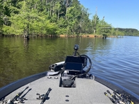 Attoyac Outfitters Texas Fishing Charters | 4-Hour Sam Rayburn (Morning or Afternoon) Private Fishing Trip fishing Lake 