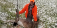 Swamp Fox Guide Service Hunting In Maine | 1 To 5 Day Hunting Trip  hunting Active hunting 