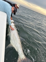 Tradewinds Fishing Charter Tampa Fishing Charters | Specialty Trips For Shark And Tarpon fishing Inshore 