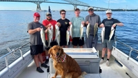 Rowe Boat Sportfishing Fishing Charters on Chesapeake Bay fishing Inshore 