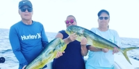 Reel E Sea Charters Fishing in West Palm Beach Florida | 5 Hour Trip (PM) fishing Offshore 