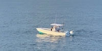 Reel E Sea Charters Fishing Charters West Palm Beach Florida | 4 hour trip Shark fishing AM fishing Offshore 