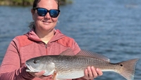 Gulf Coast Backcountry Charters Crystal River Florida Fishing Charters fishing Inshore 