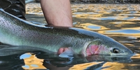 RiverRise Fishing Fishing Trips Alaska | Seasonal 5 Hour Trip fishing River 