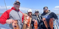 Awol Sportfishing Thrilling San Diego Fishing Charters fishing Inshore 