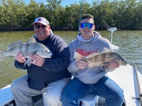 New Smyrna Fishing Guide Trout & Black Drum Fishing Trip in Mosquito Lagoon fishing Inshore 