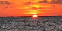 Local Grown Charters Florida Key Fishing Charters | 4 Hour Sunset And Night Fishing Trip fishing Inshore 