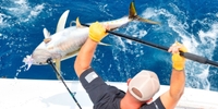CAPT BC Sportfishing North Carolina Fishing Charter | Full Day Offshore Fishing Trip fishing Offshore 