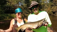 Jay's Sportfishing Salmon River Fishing Trip | 7 Hour Charter Trip fishing River 
