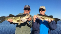 Fast Break Bait & Tackle Whole Day Trip - Lake Okeechobee, Florida fishing Inshore 