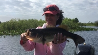 Fast Break Bait & Tackle Half Day Afternoon Trip - Lake Okeechobee, Florida fishing Inshore 