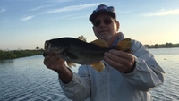 Fast Break Bait & Tackle Half Day Morning Trip - Lake Okeechobee, Florida fishing Inshore 