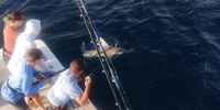 Charter Boat Outta Line Florida Fishing Charters Destin fishing Offshore 