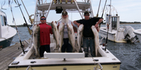 Specialty Charters Sportfishing Fishing Charter Cape Cod | 5 Hour Charter Trip fishing Inshore 