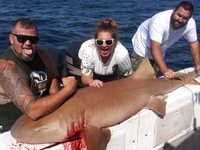 King Slayer Charters Fishing Charters Panama City Beach | Private - 3 Hour Shark Trip fishing Offshore 